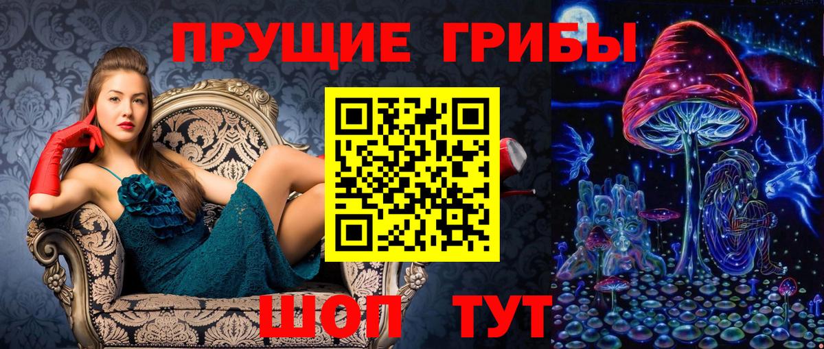 Псилоцибиновые грибы Psilocybine cubensis  где продают   Псилоцибиновые грибы ЛСД  Копейск  Вход с VPN 